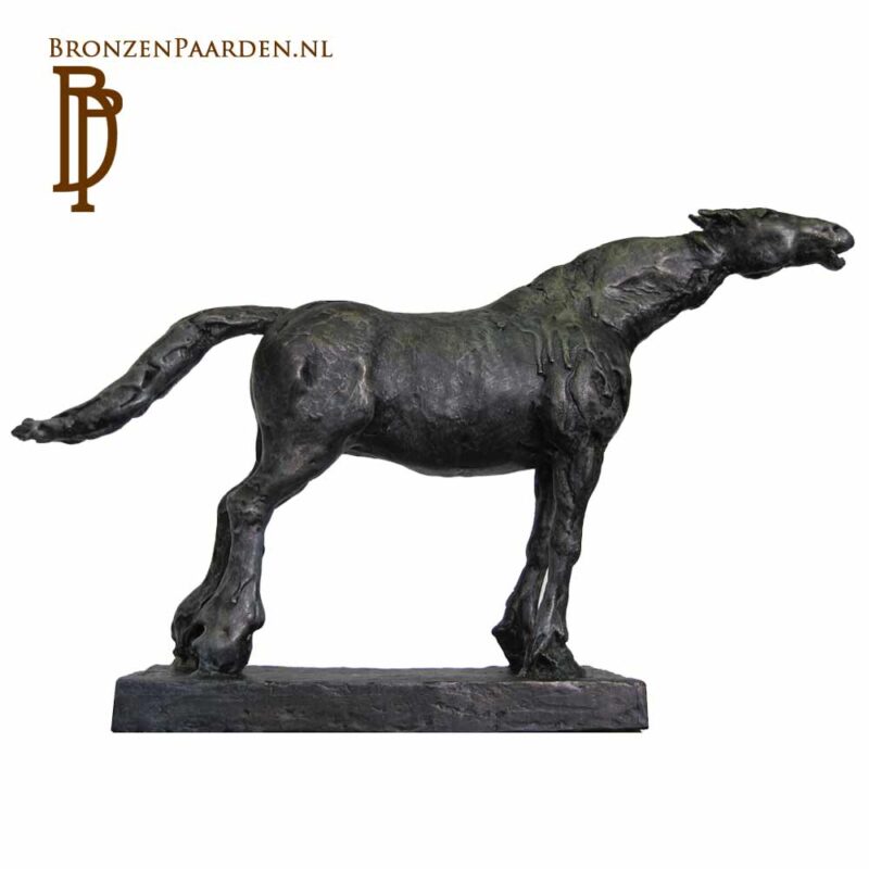 Paardenkunst Paardenbeeld van brons