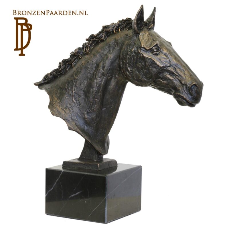 Beeld Paard buste